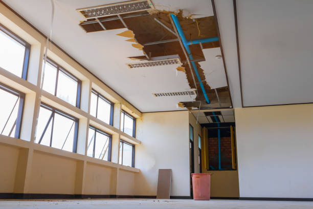 Best Water damage restoration company  in Pomona, NY