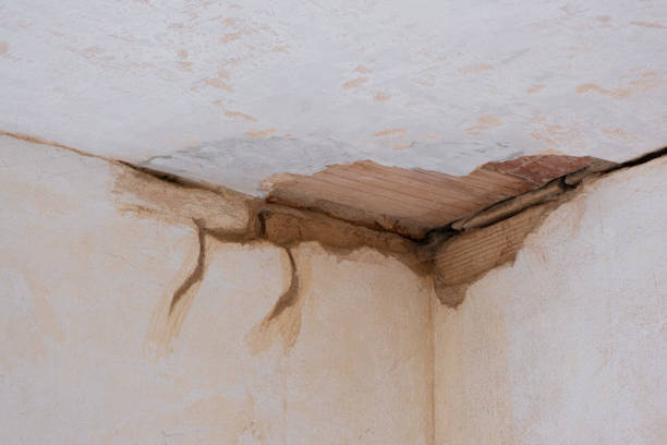 Best Mold removal after water damage  in Pomona, NY