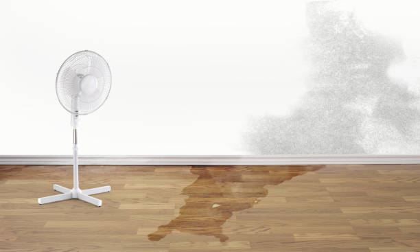 Reliable Pomona, NY Water damage restoration Solutions