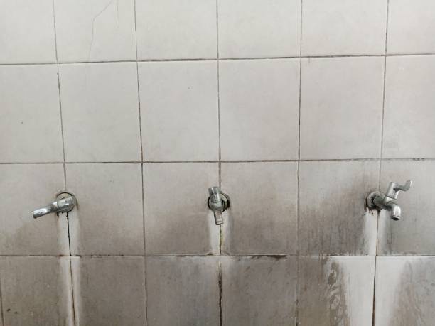 Best Fire Damage Restoration  in Pomona, NY