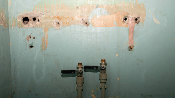 Best Emergency water damage restoration  in Pomona, NY