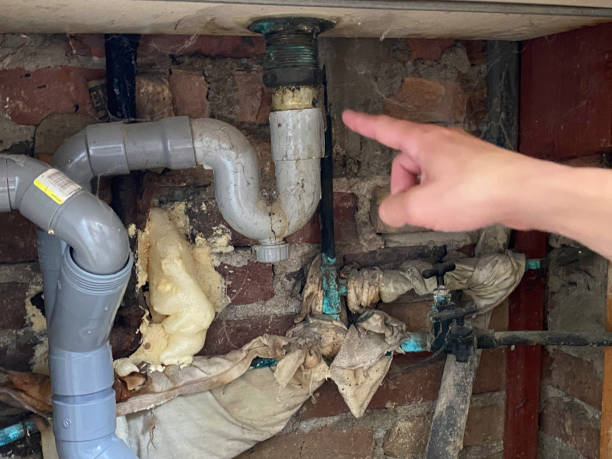 Best Flood damage cleanup  in Pomona, NY